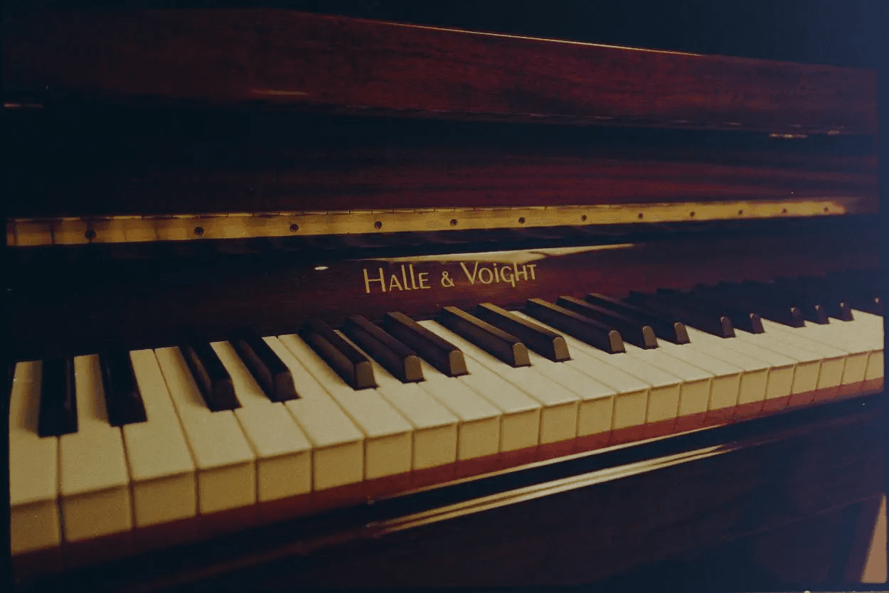 Close-up of piano keys.