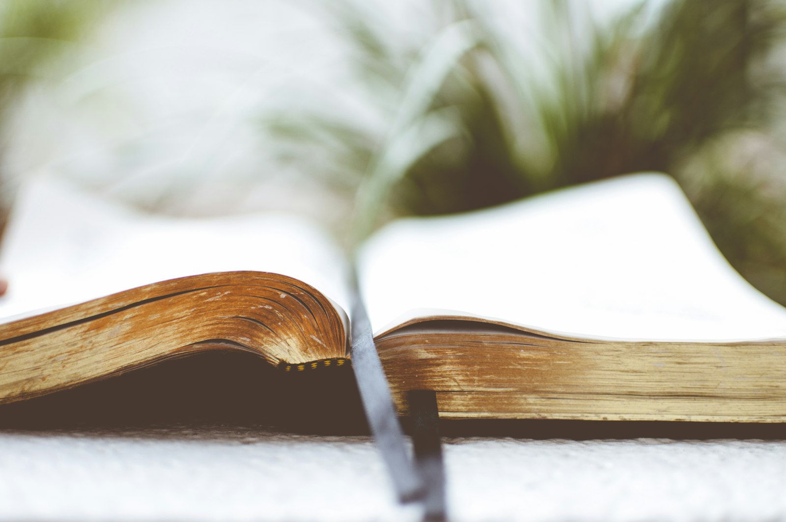 Church Giving Tax Deduction 2026: What the New $1,000 Rule Means for Your Church