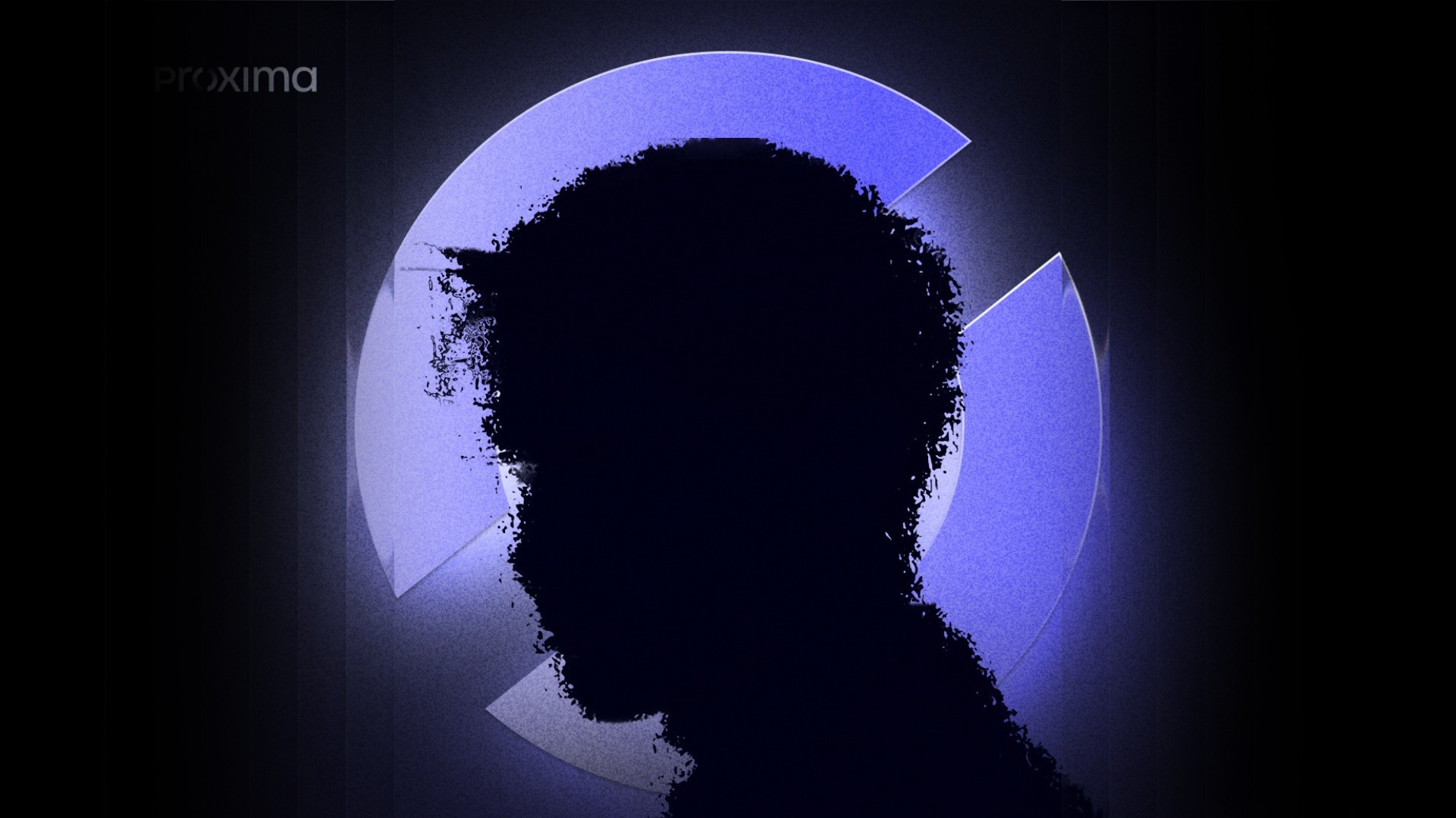 Dom Pérignon vineyards from the sky