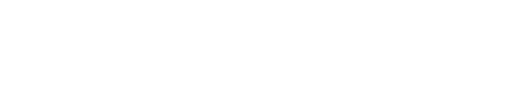 logo de wizify