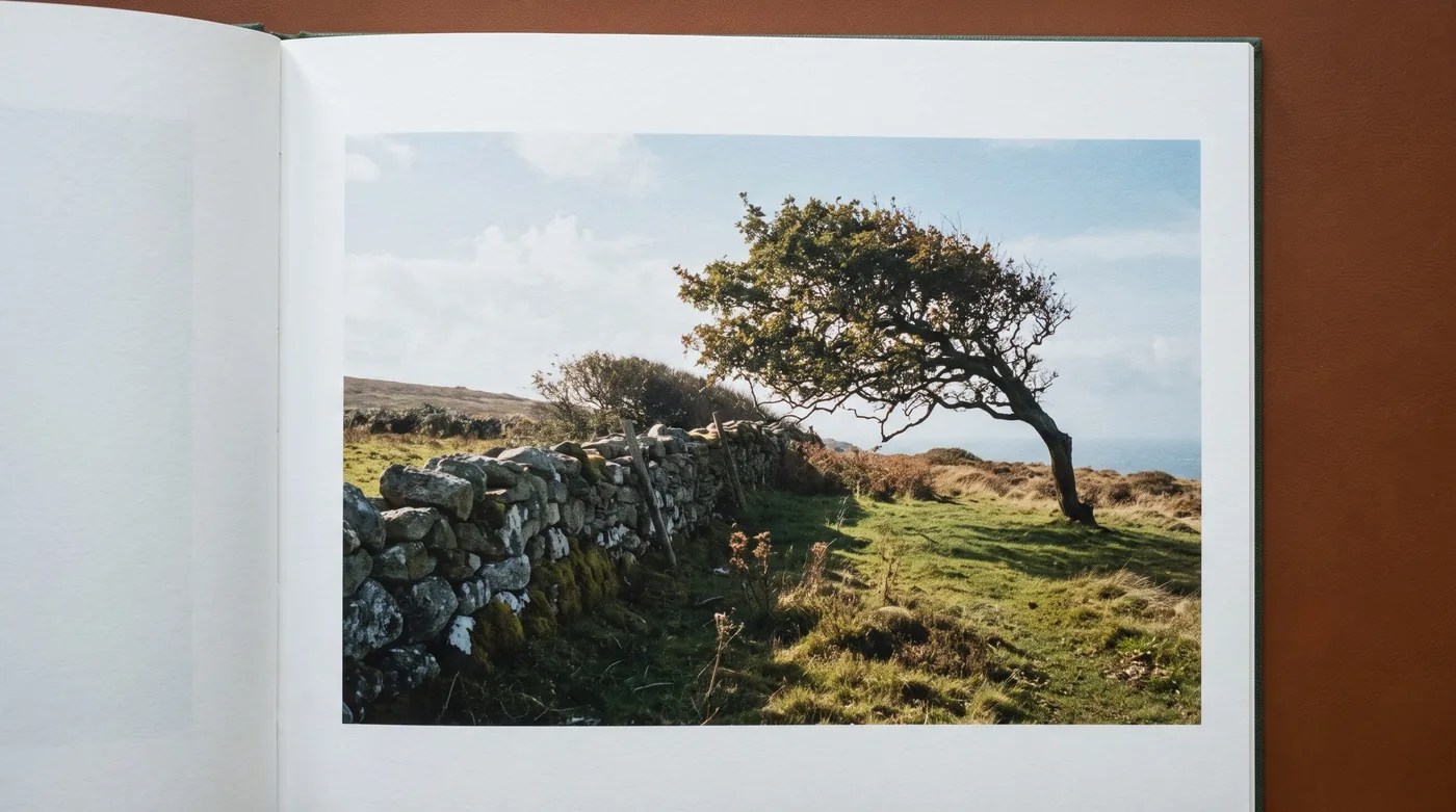 An open book showing a photograph of a windswept tree