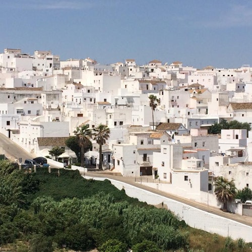 A hillside village of closely packed white buildings with a few palm trees and green vegetation in the foreground.