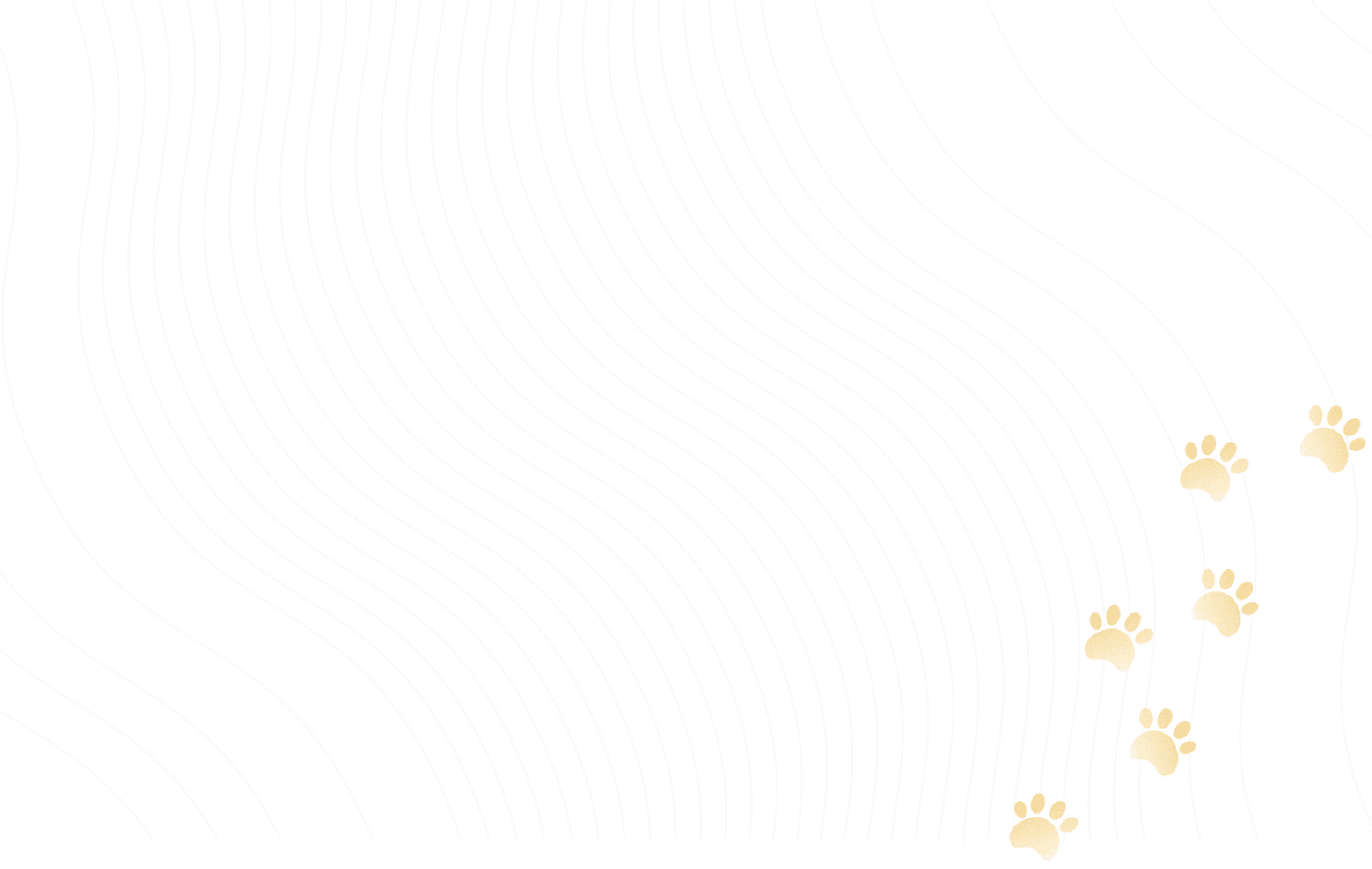 Background image of paw prints walking across the page