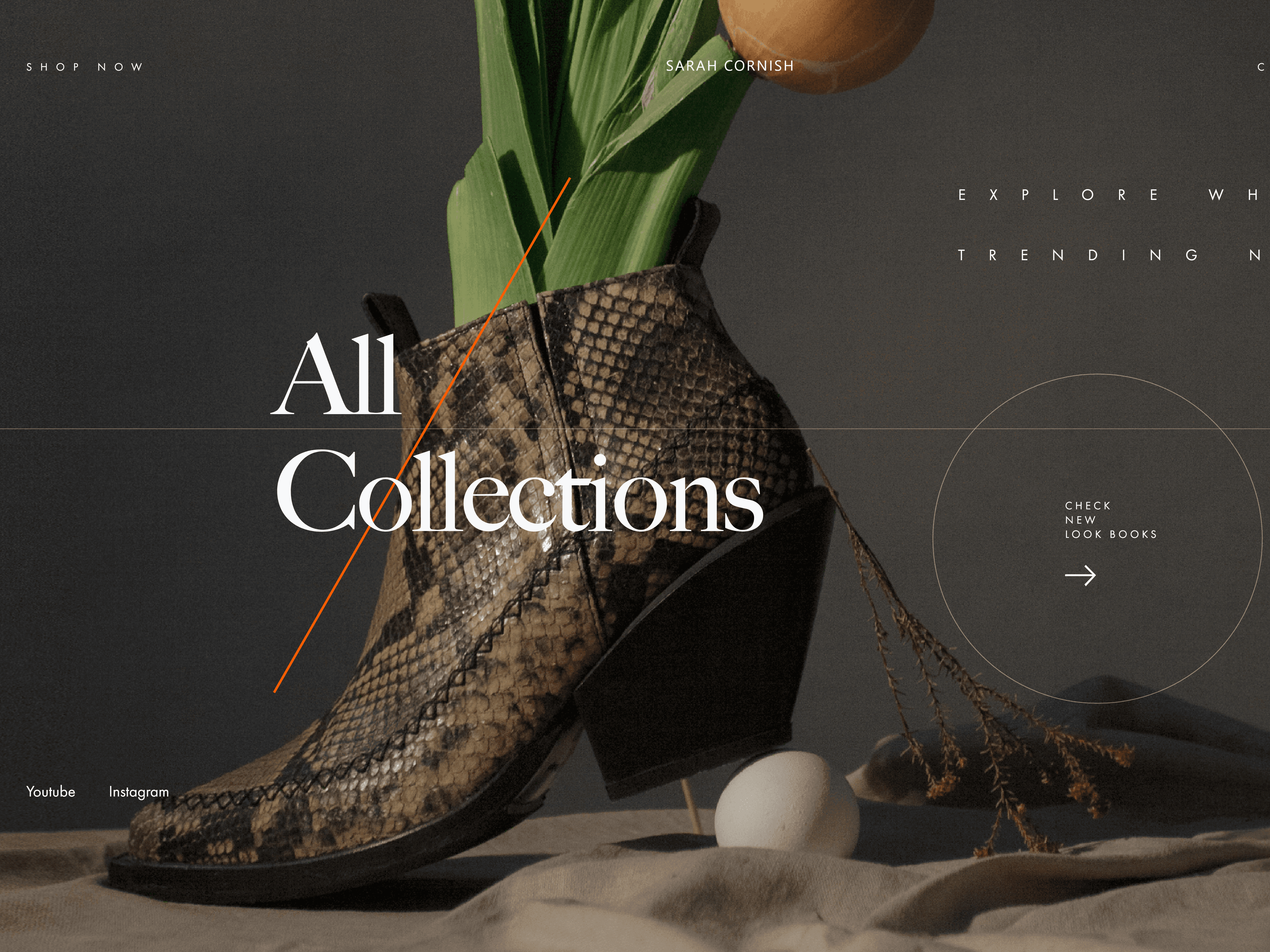 Portfolio project image