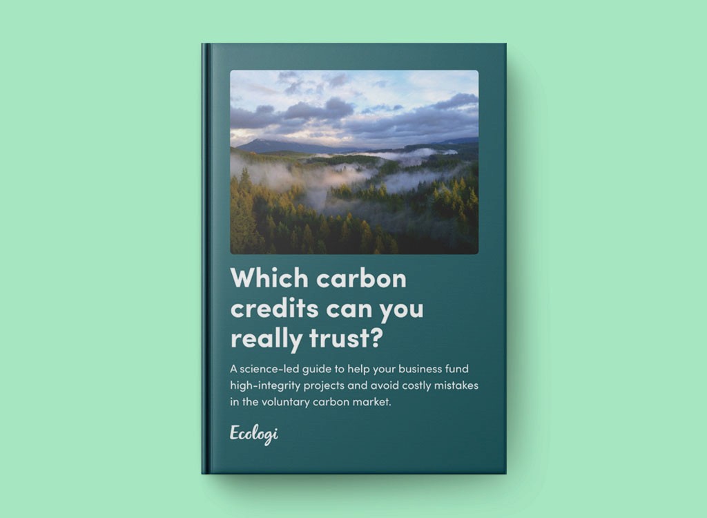 Which carbon credits can you really trust?