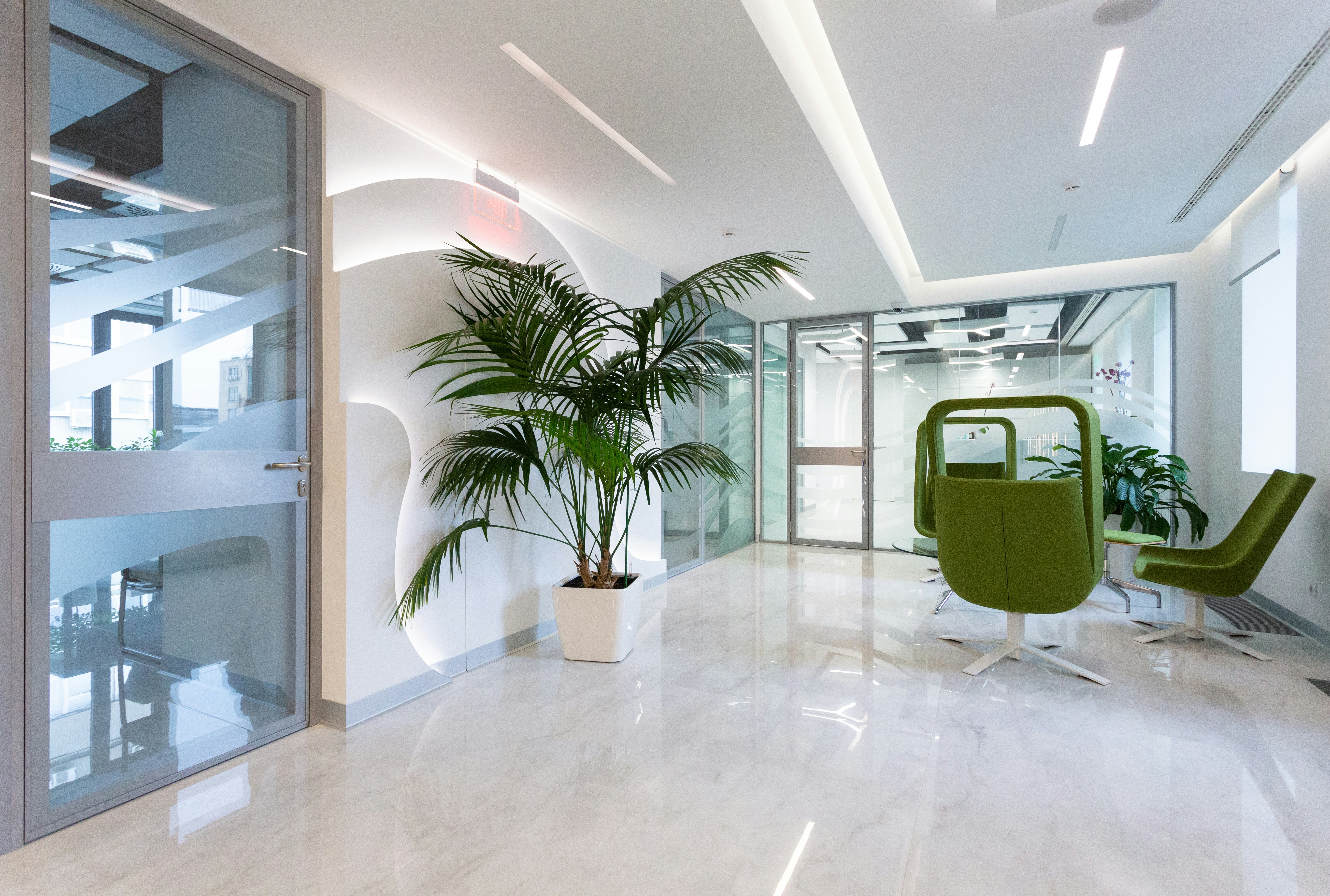 Modern office interior featuring large plants, sleek design, and bright, open space.