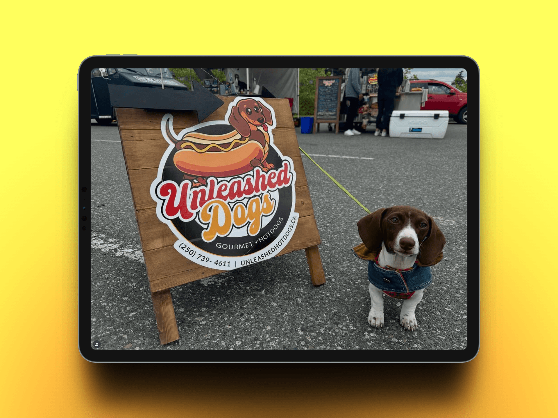 Unleashed Dogs Stand - Mindsai