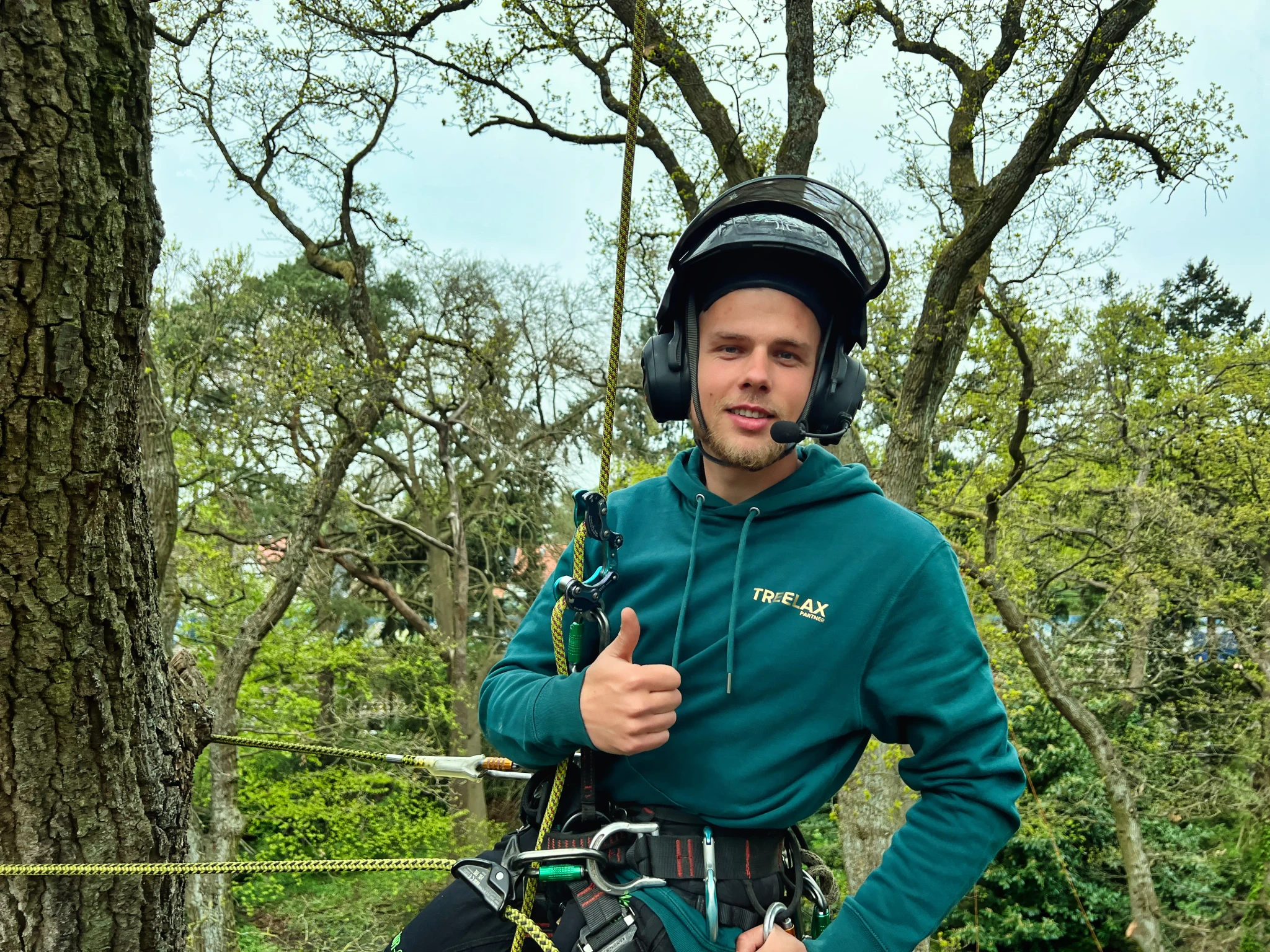 Louis Krüger Baumpflege Treelax Partner Hamburg