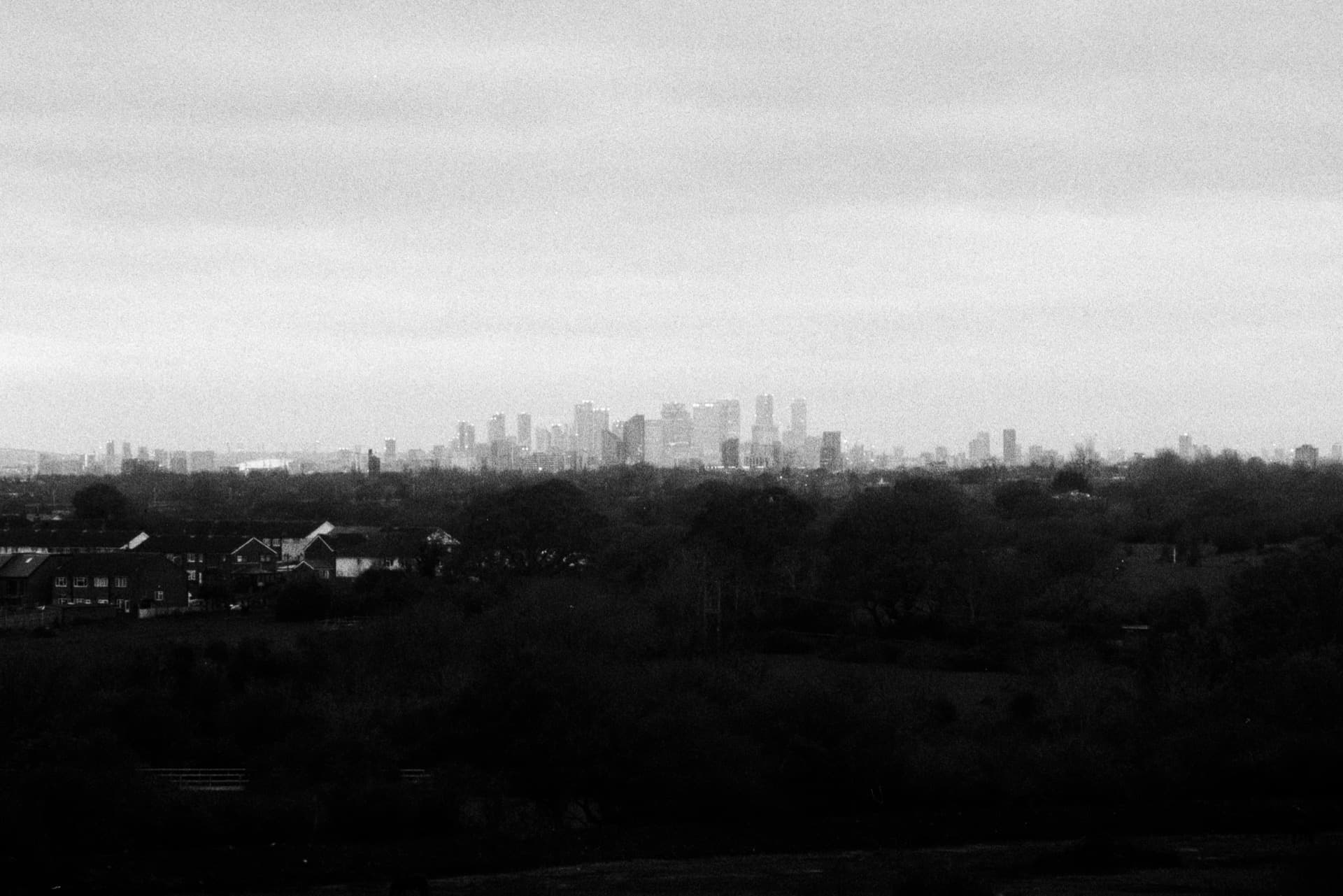 London skyline with Canary Wharf and City towers viewed across wooded suburbs and fields