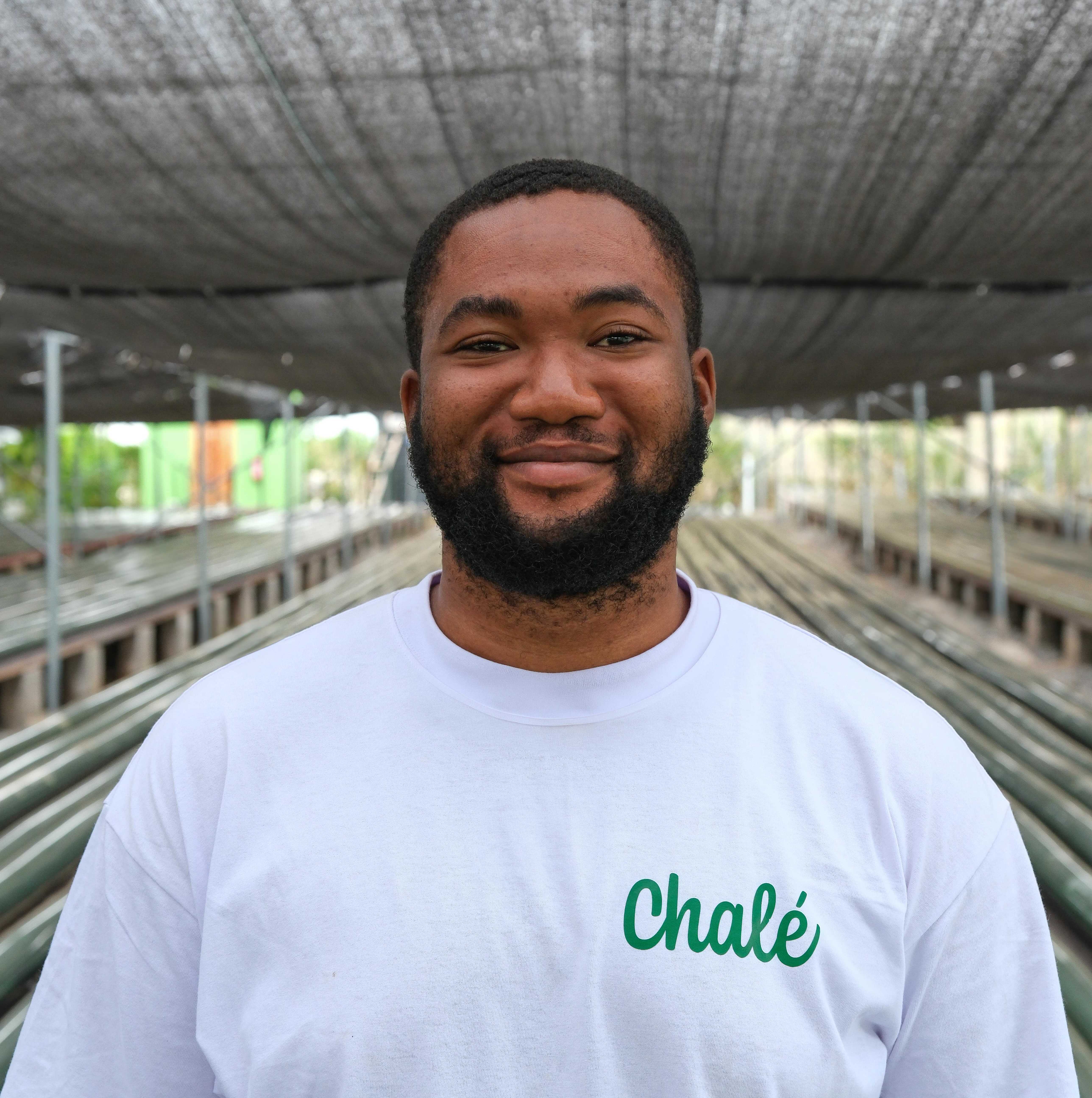 Patricia Korneh works as a Food Safe Expert at Chalé Spirulina