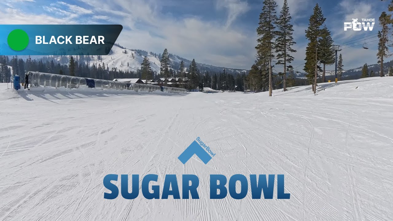 Blackbear Sugar Bowl – Beginners Start Here