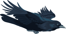 Crow 02