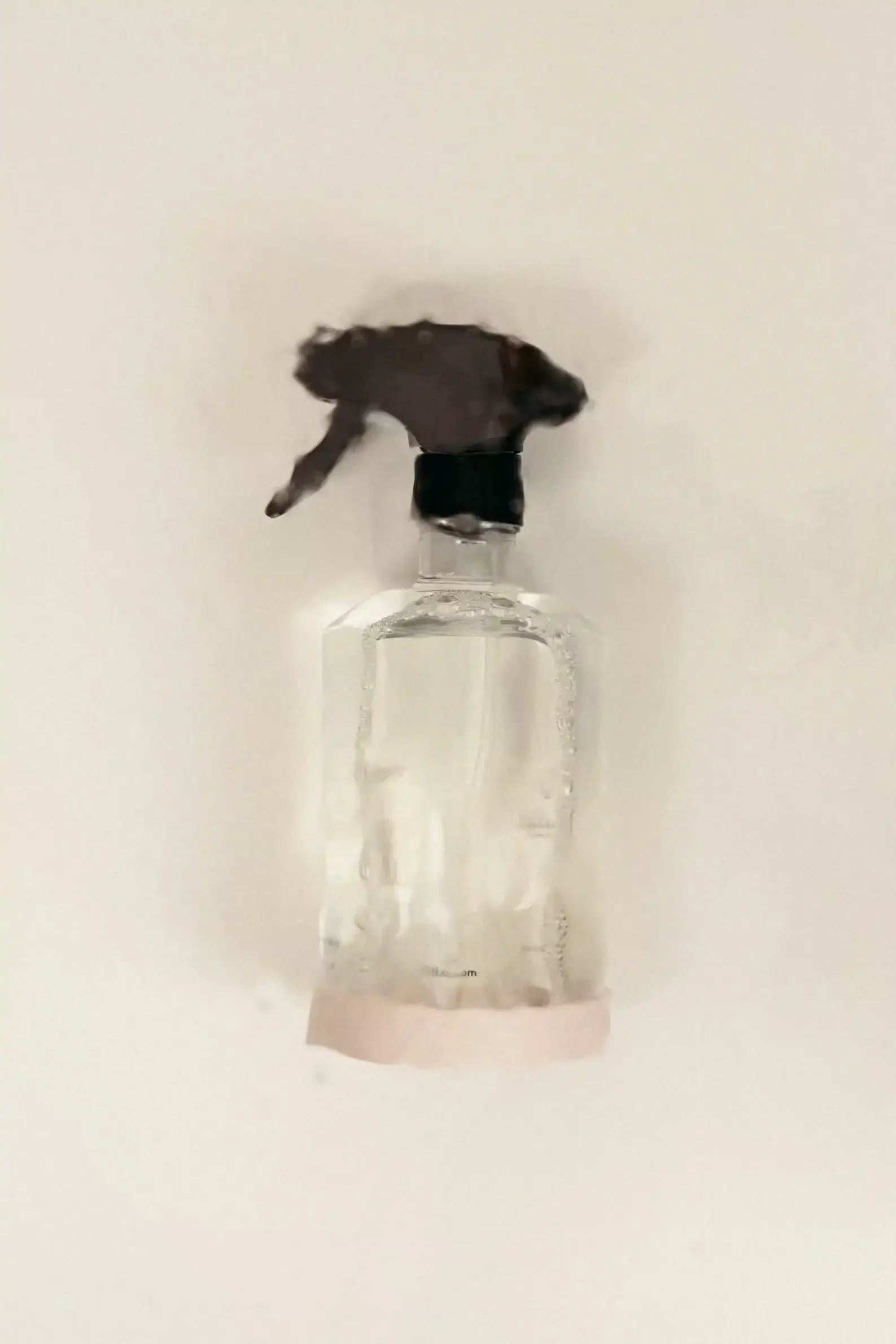 Kingfield project in Lineup Studio Framer Template 02