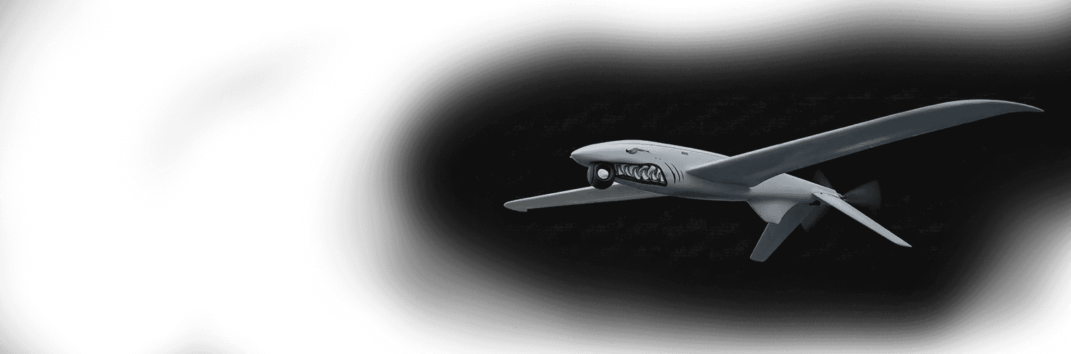 A model of a military plane flying in the air