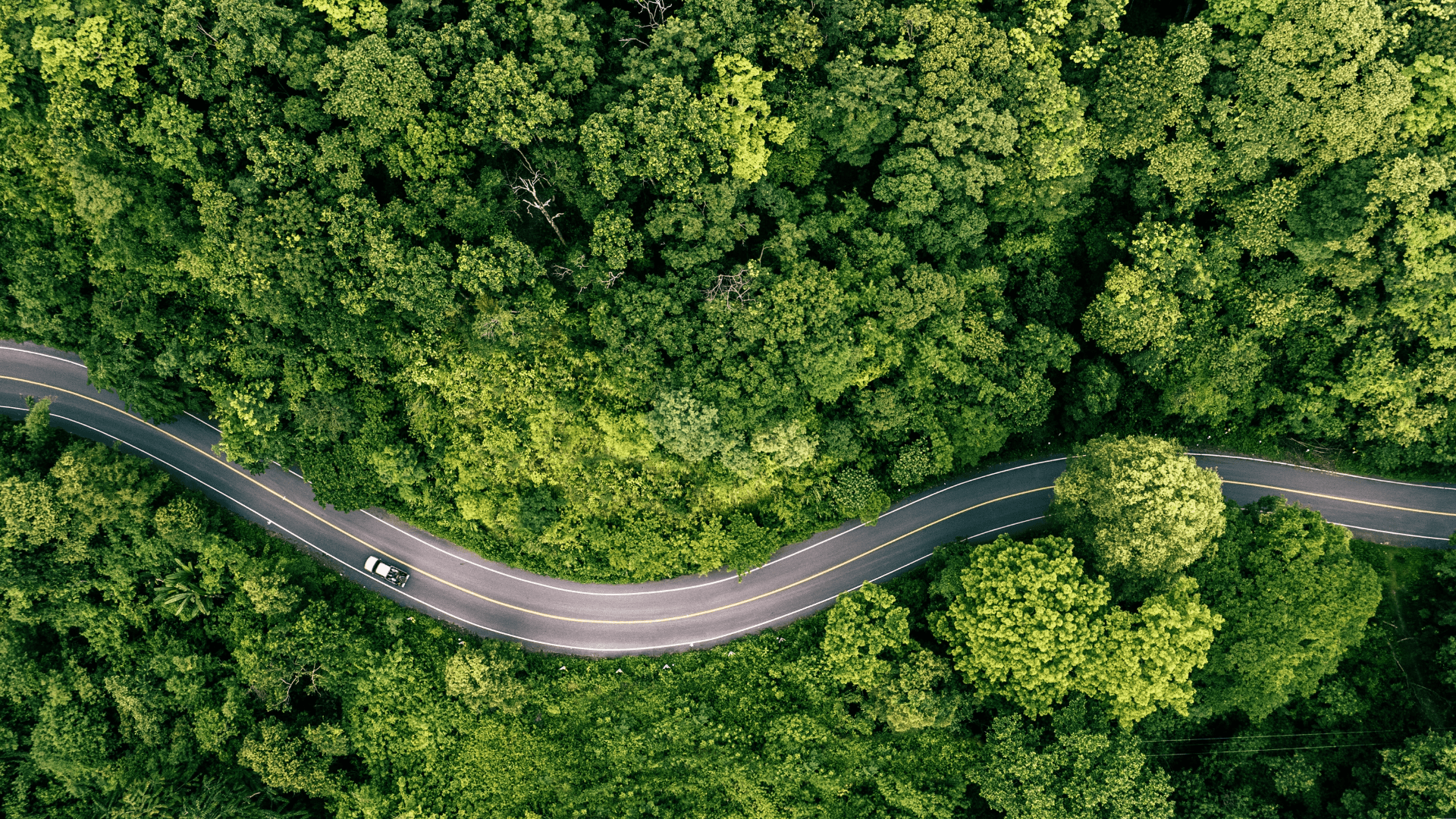 Aerial view of a winding road through dense forest, symbolising the UK’s journey towards net zero and the transition facing facilities management teams.