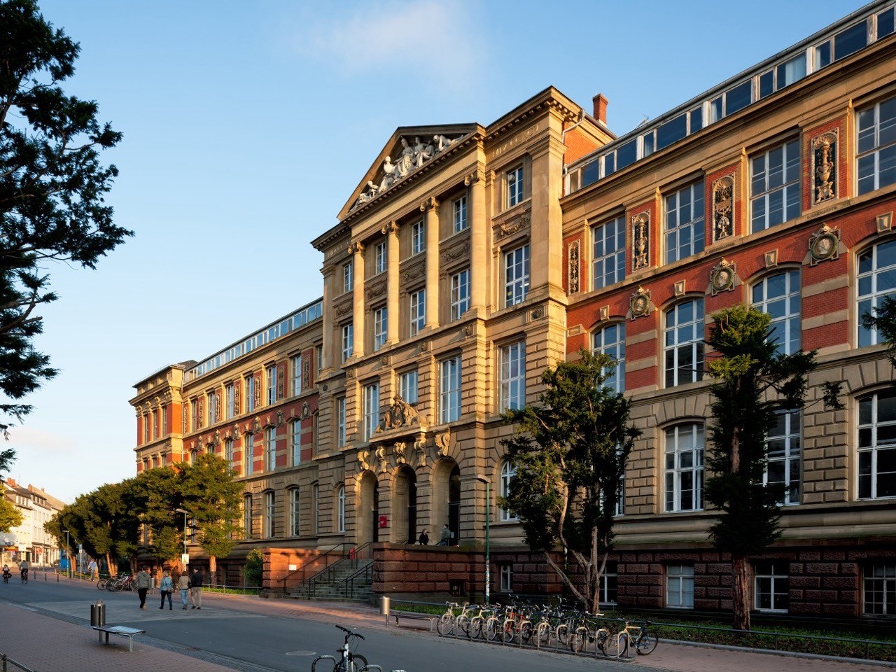 Universität XY