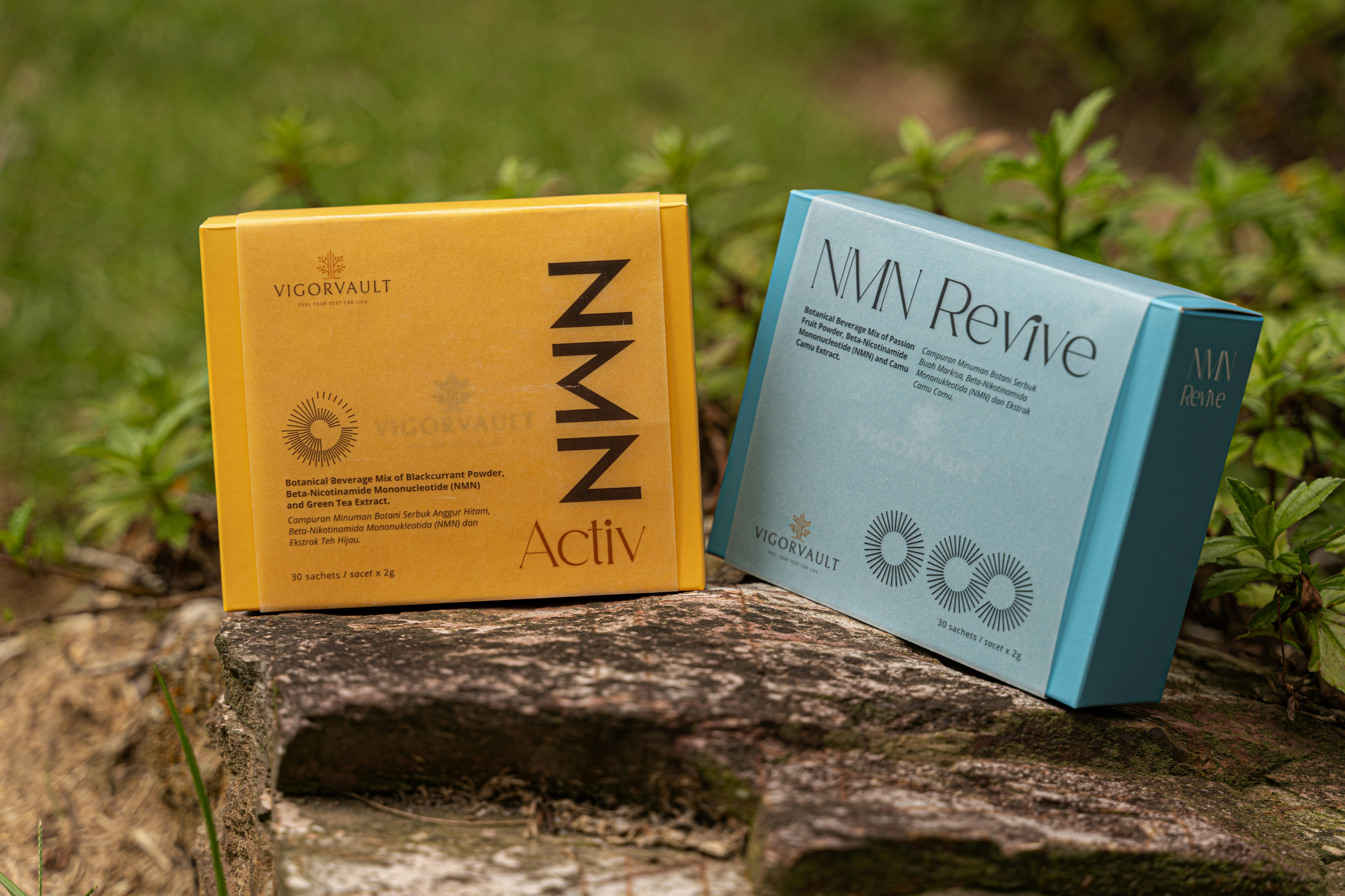 2 boxes of Vigorvault Nan Active and Nan Revive Botanical Beverage Mix