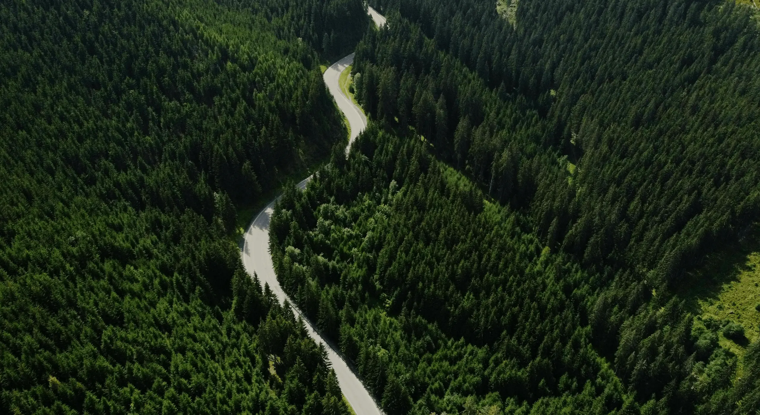 Aerial shot capturing a winding road through a lush, green forest.