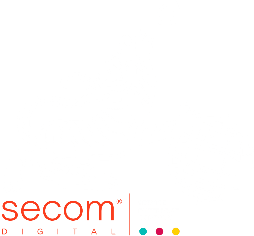 Service Enterprise Company