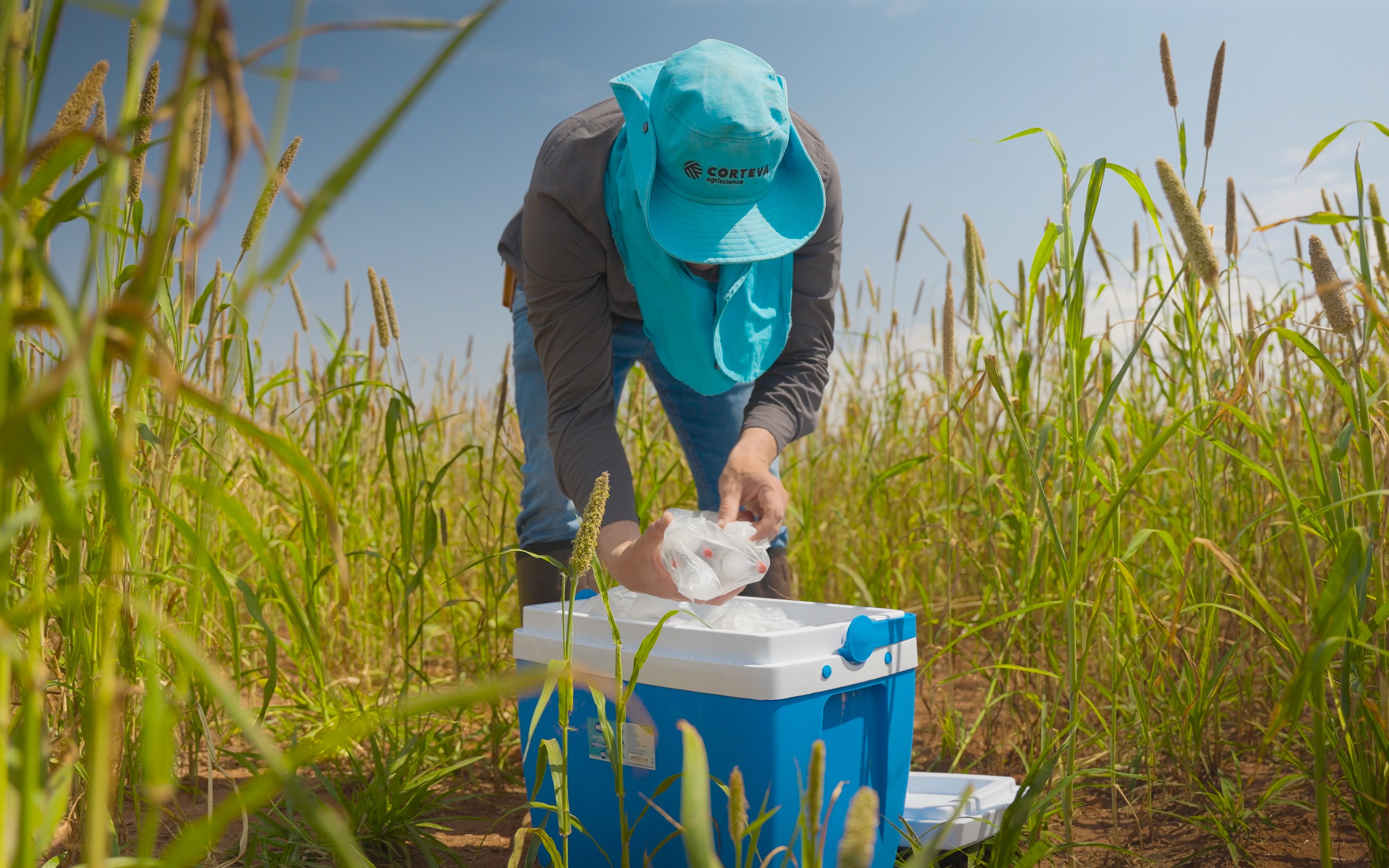 Person working in field