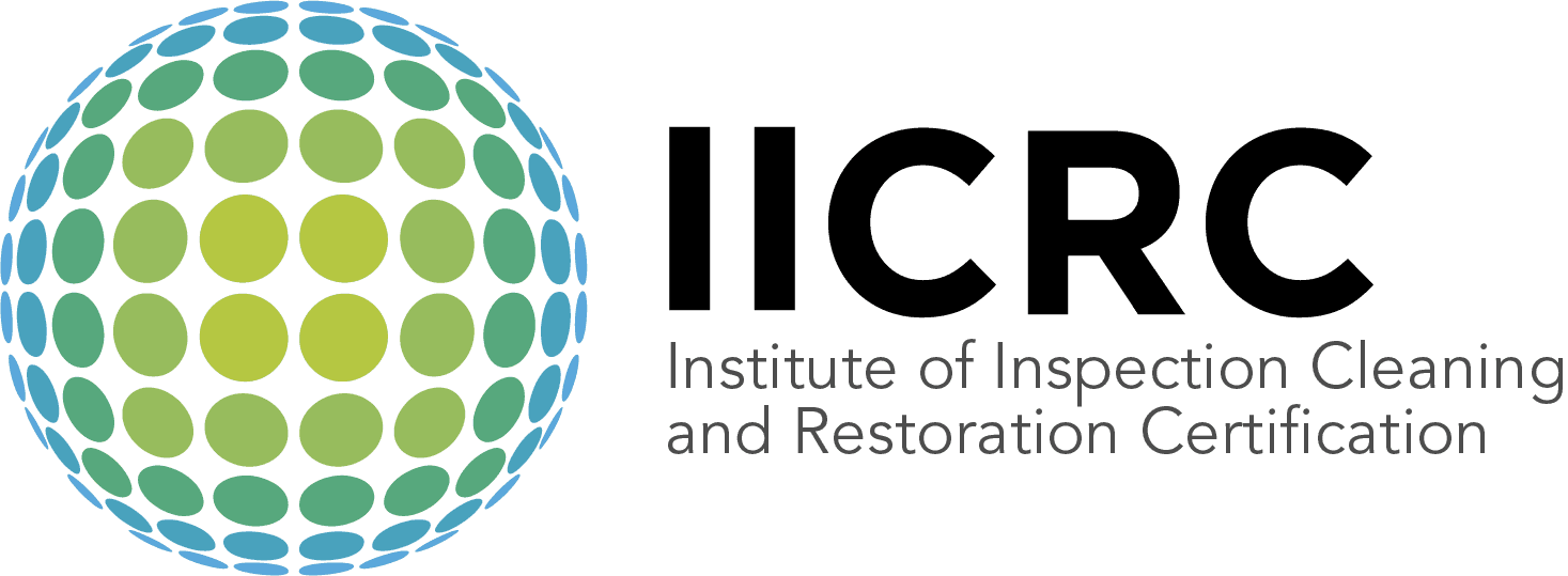 Logo 7