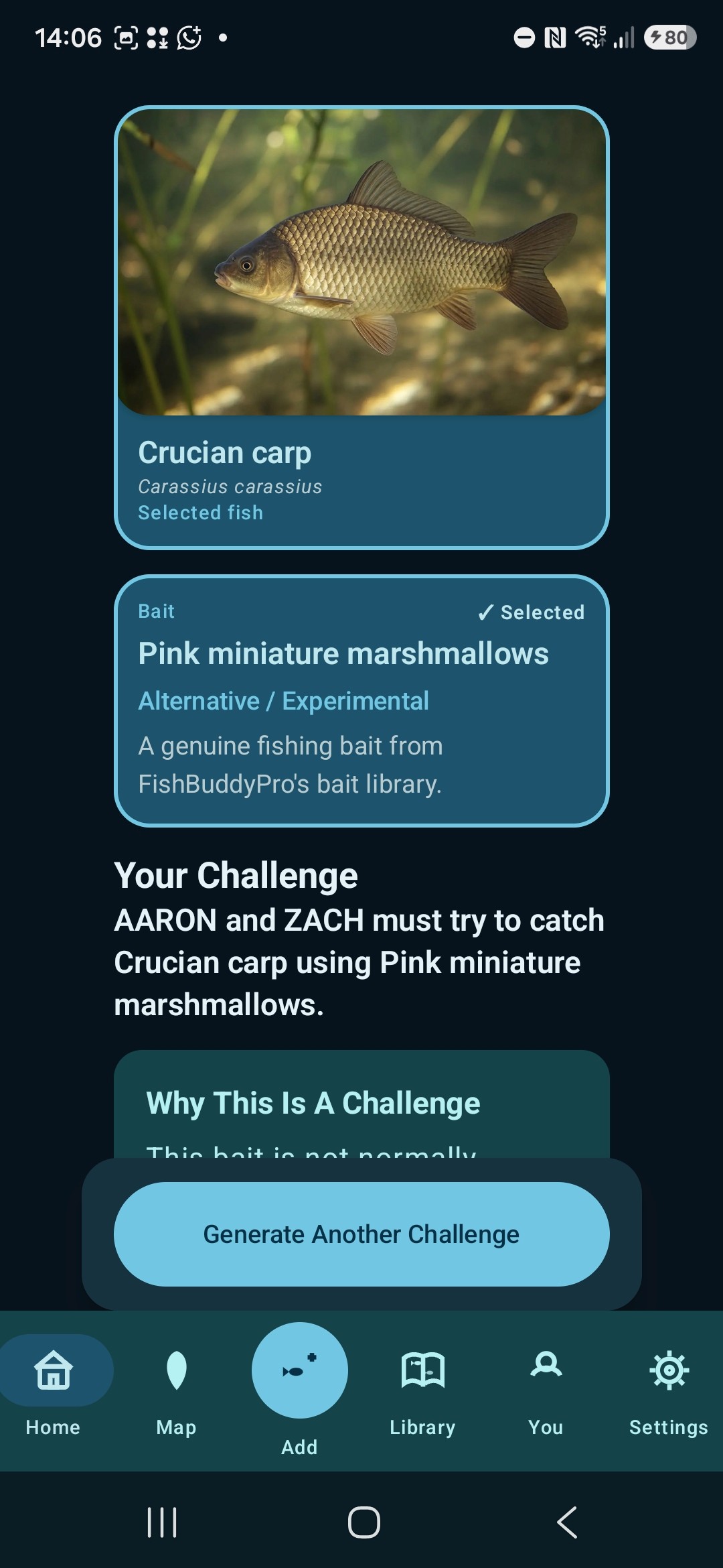FBP_SCREEN_B09_06_Anything_With_Anything_Challenge.png