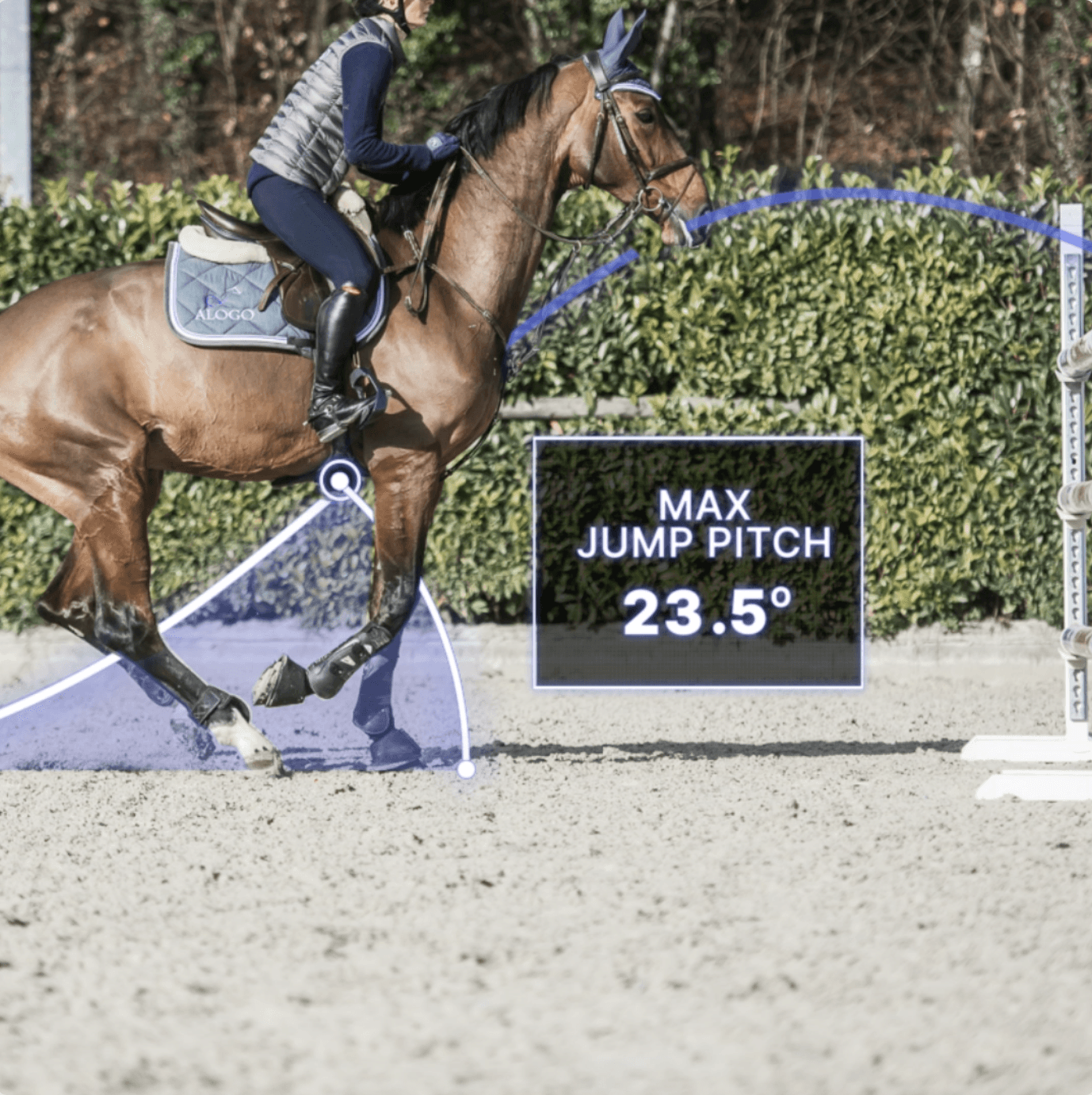 motion-design-equitation