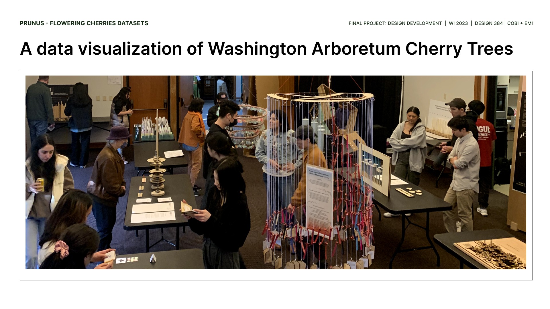 Cobi Stancik - DATA VIZ - WA Cherry Trees