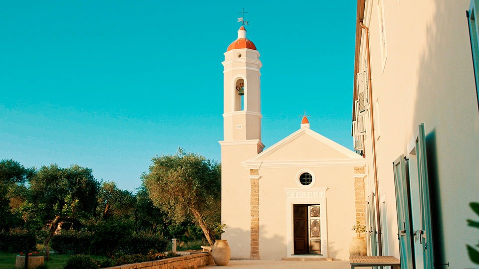 Delicate green foliage and pink flowers.