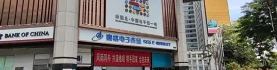 SEG Electronics Market (赛格电子市场)