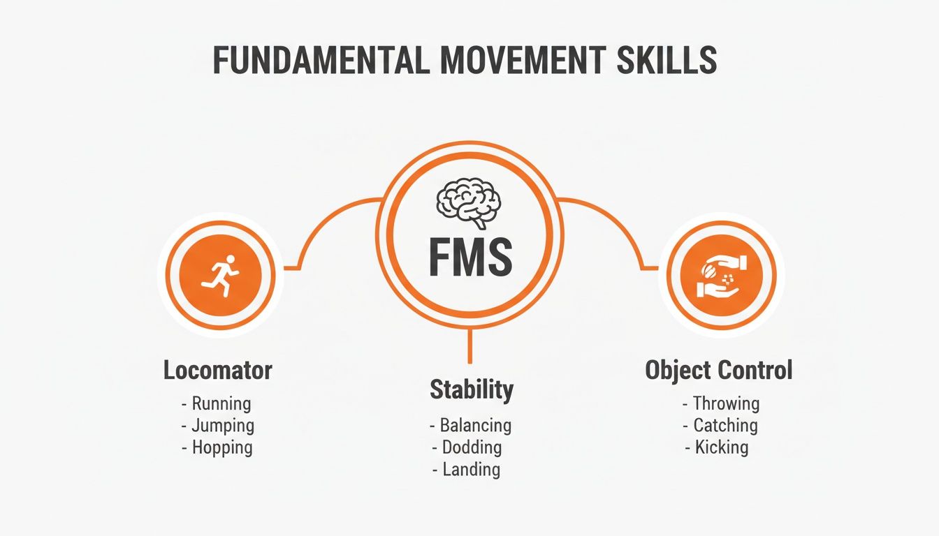 Diagram illustrating fundamental movement skills categories: locomotor, stability, and object control with examples.