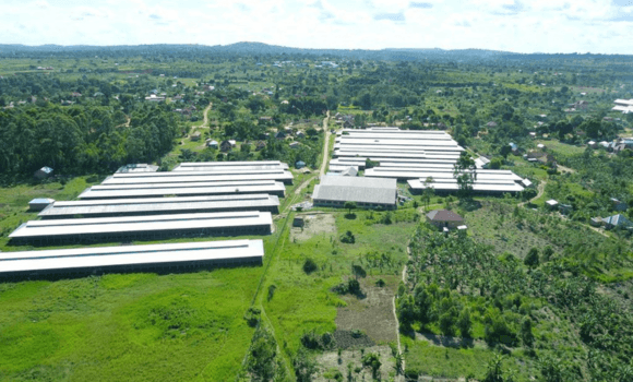 Poultry farm