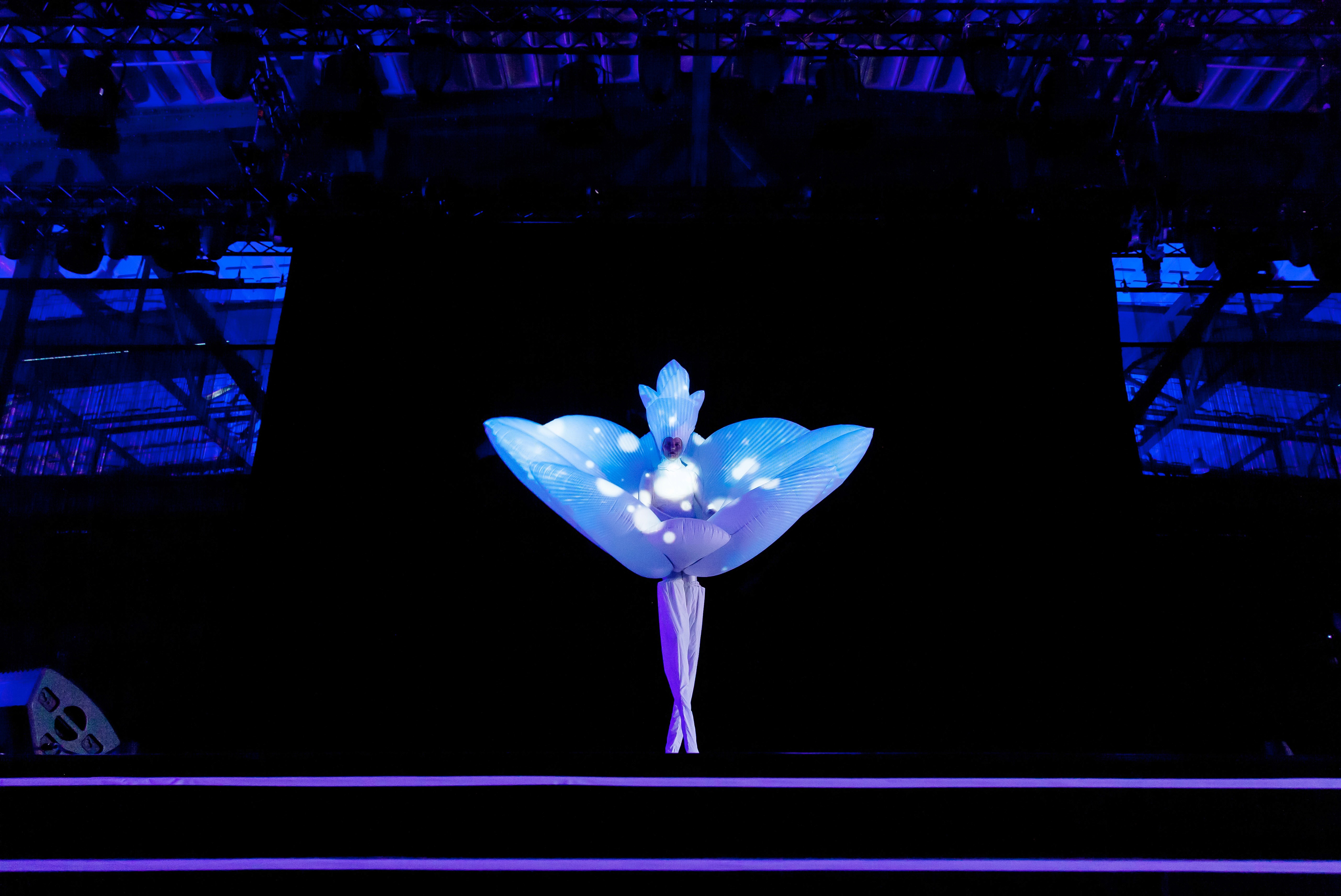 Imago Floris - augmented interactive performance installation