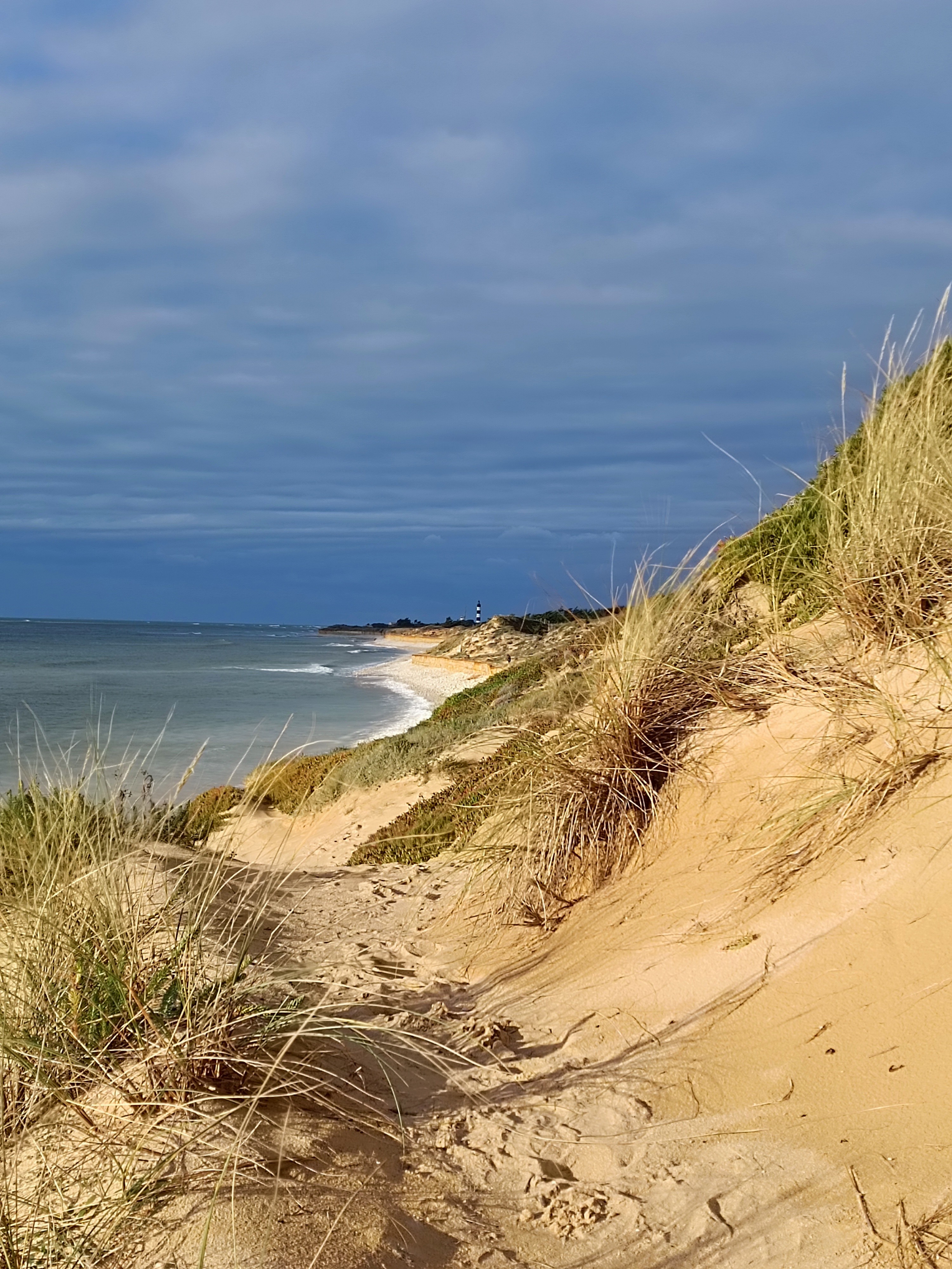 Lunch Specials Image 3