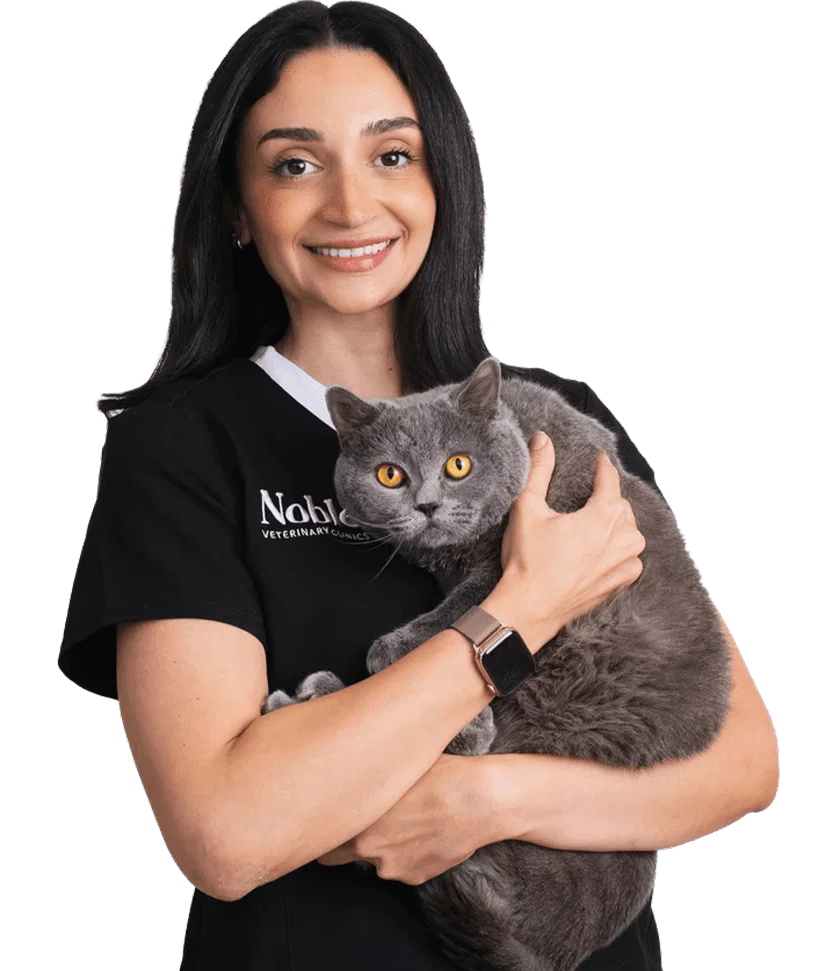 Dr. Flora Awwad: Veterinary Surgeon