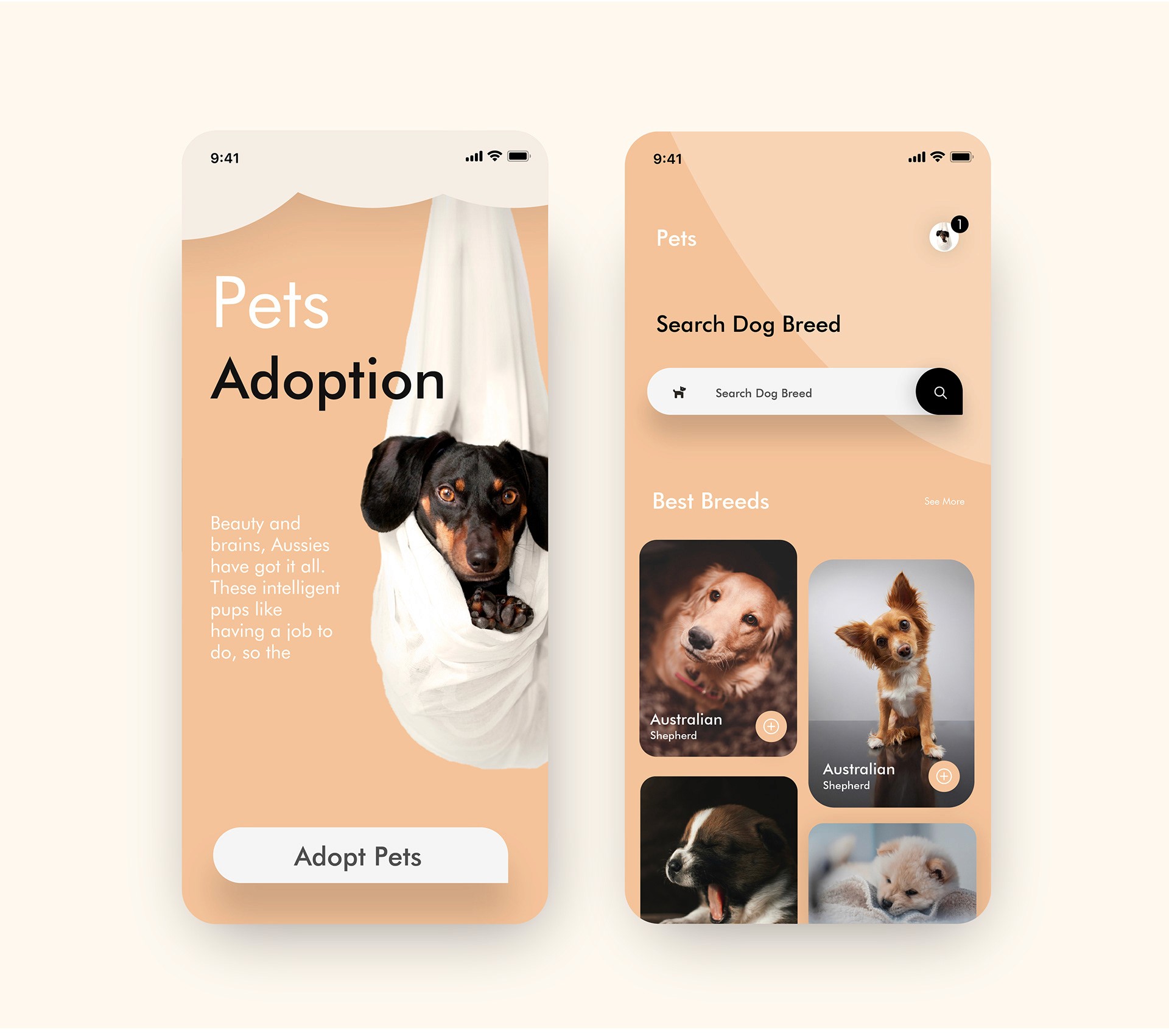 Premium UX Template for Framer