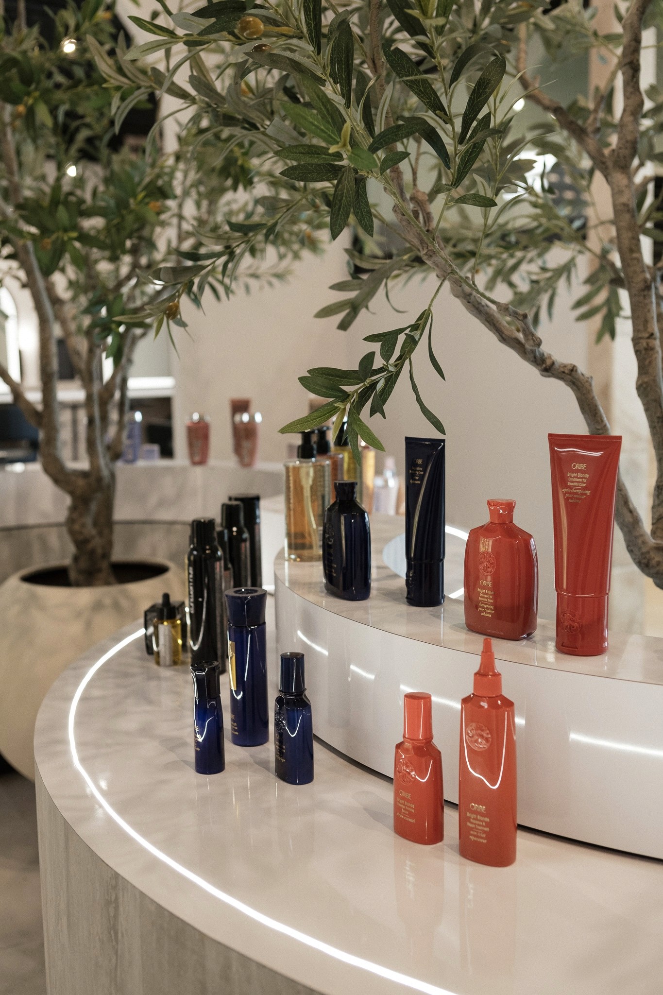 Close-up of a dark green leaf showing its textured surface and central vein against a muted background.