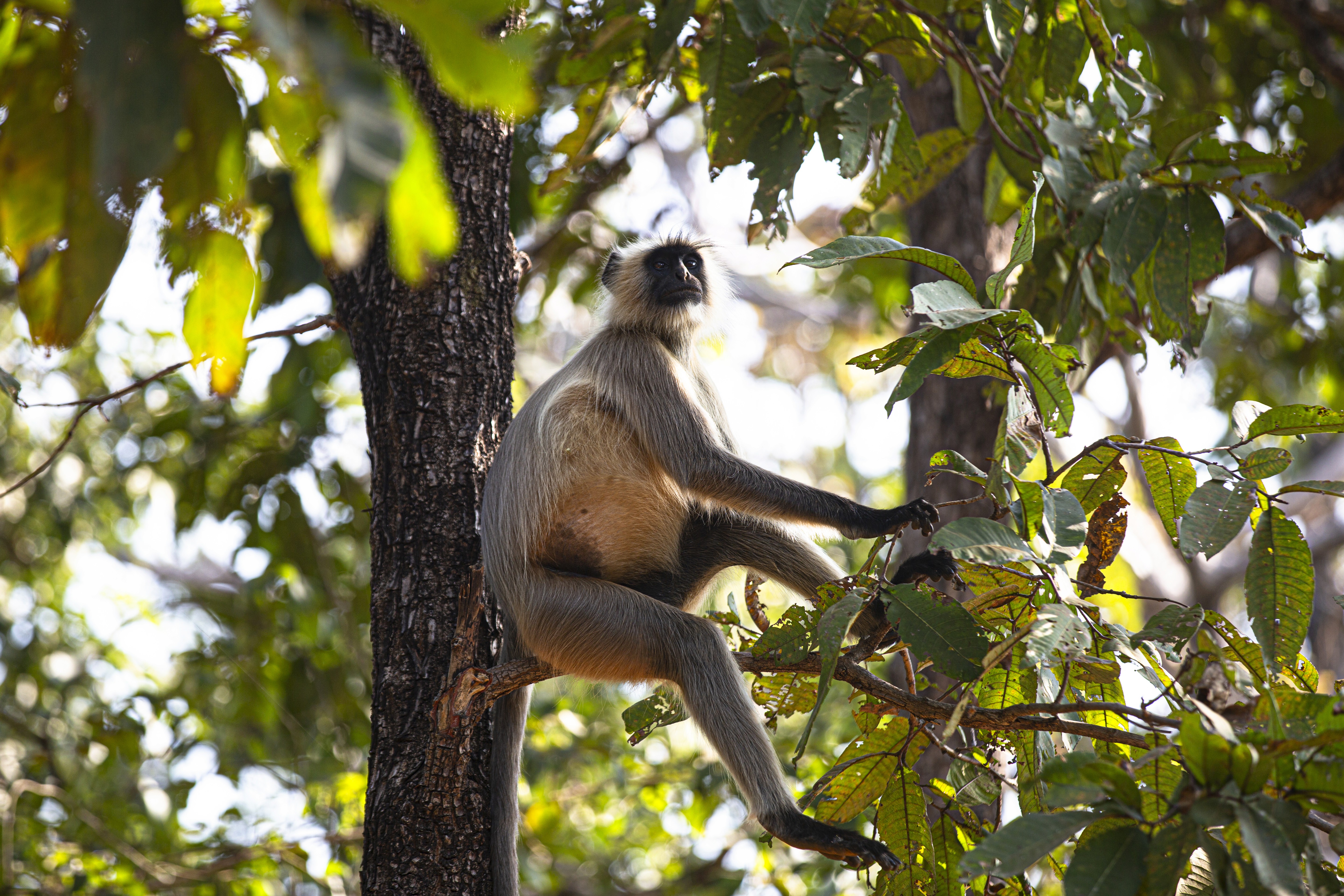 a building with persony windows