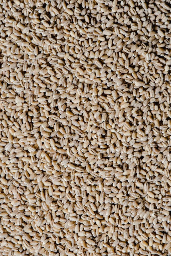 Orzo perlato