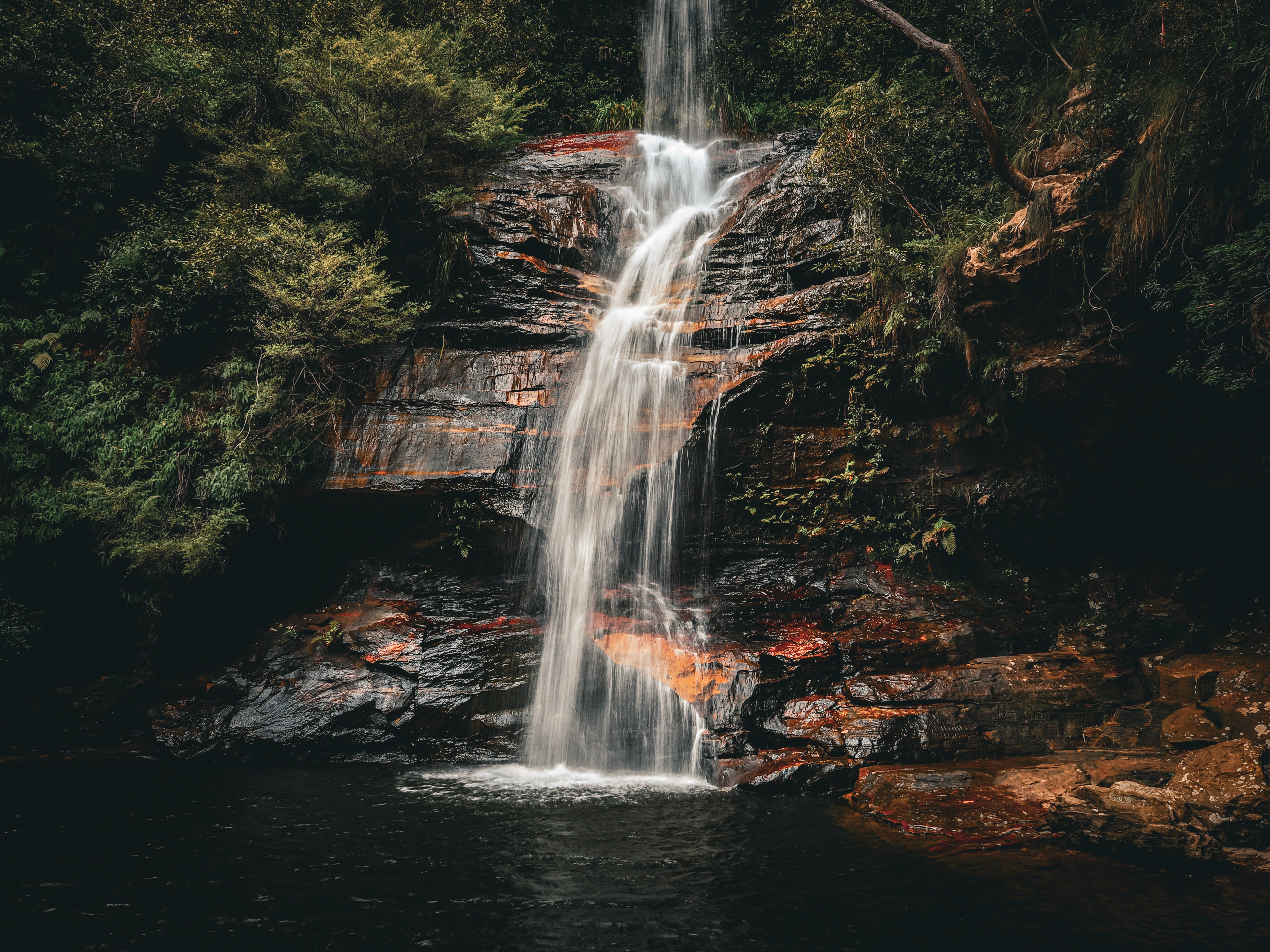 Black and white photo of man posing on camera