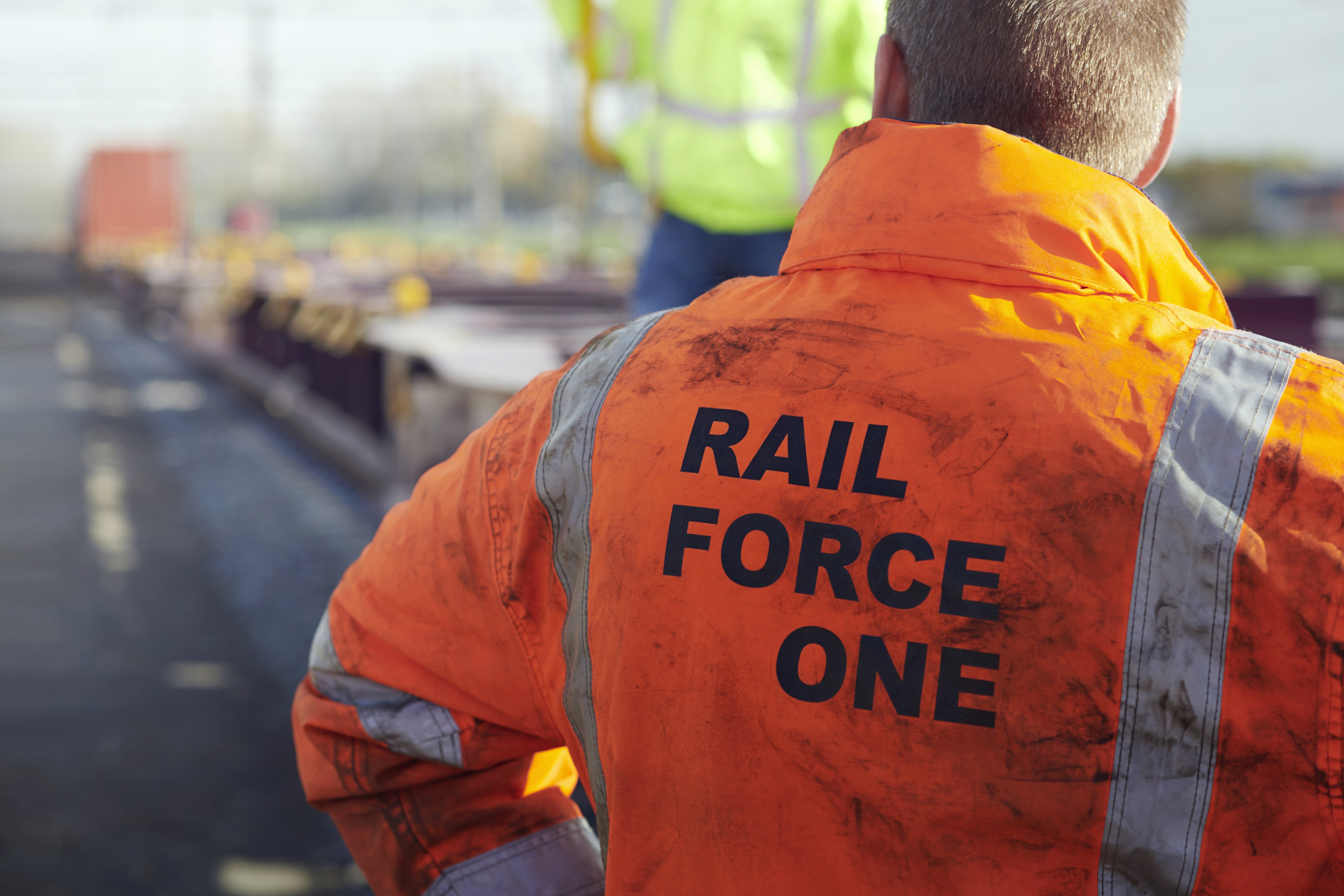 green trees under white sky during daytime