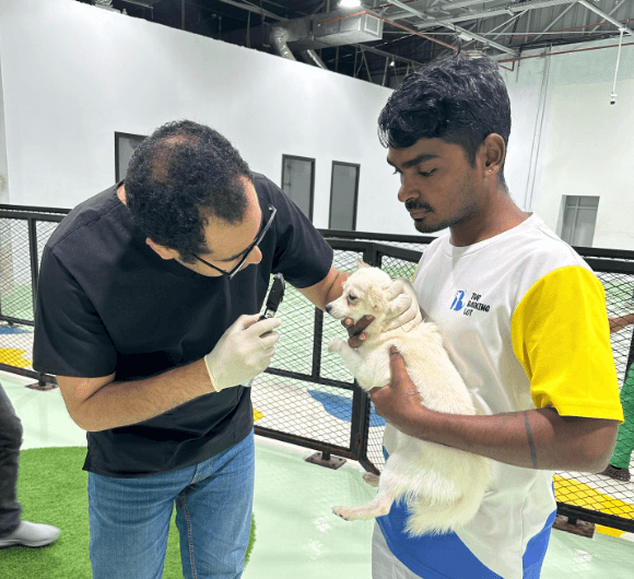A care crew with a white dog stands beside a vet holding a pen, preparing for a pet vaccination check-up at the Barking Lot. 