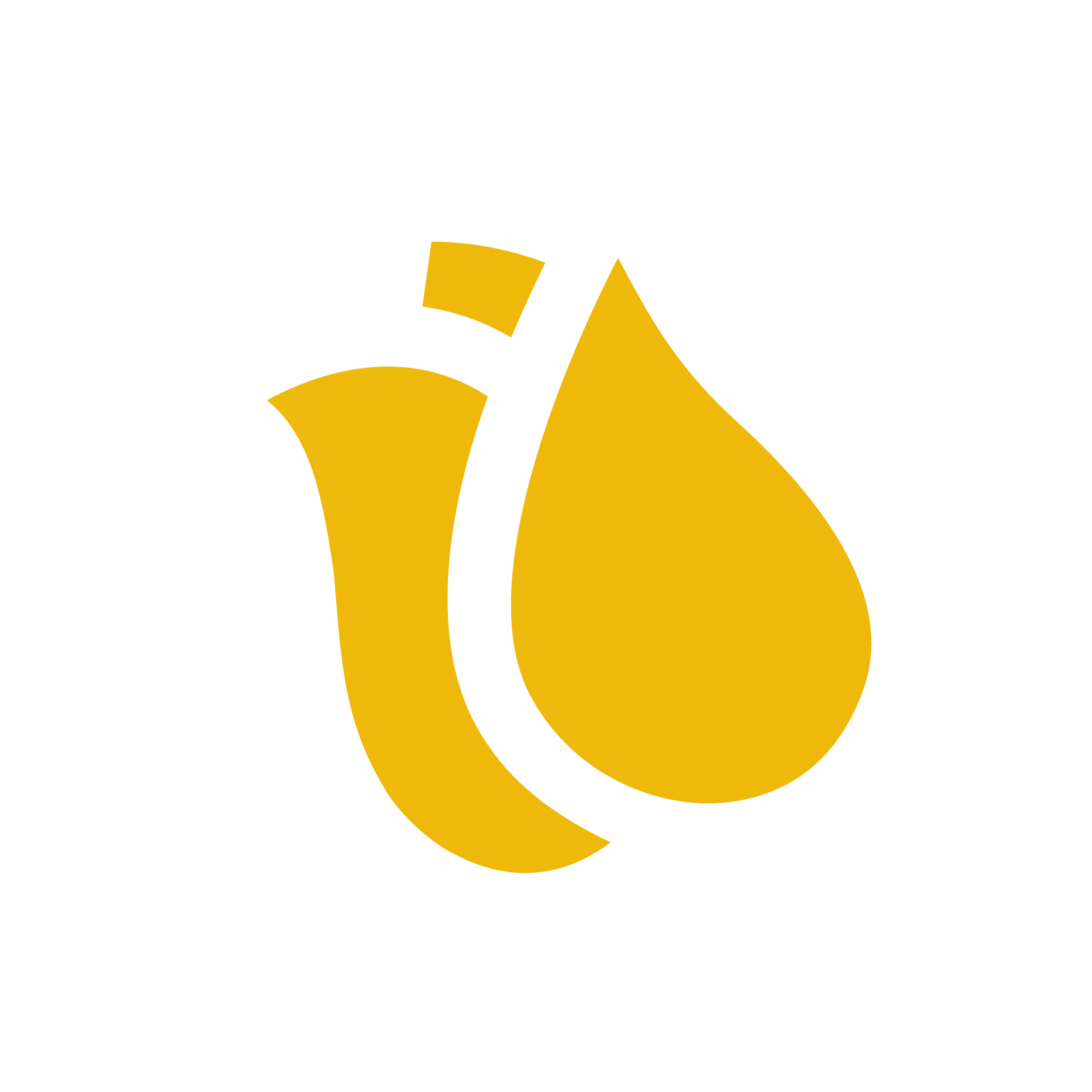 Bloom Creativ Video Production Logo