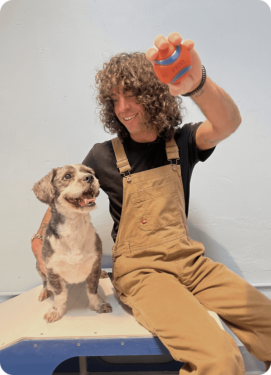 Dog daycare attendant playing with a dog