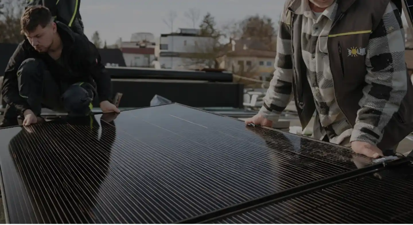 Mold inspector working