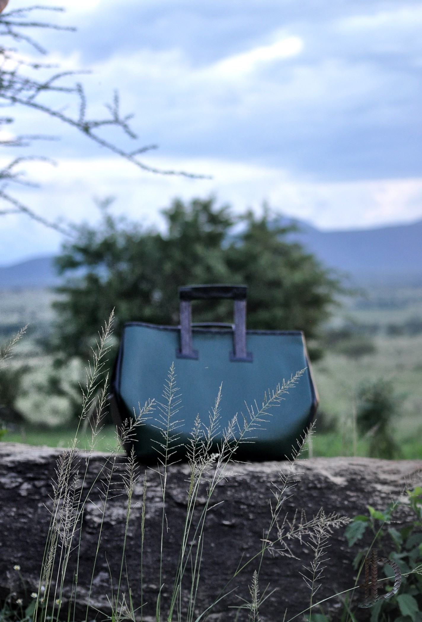 Leather bag · woven handles