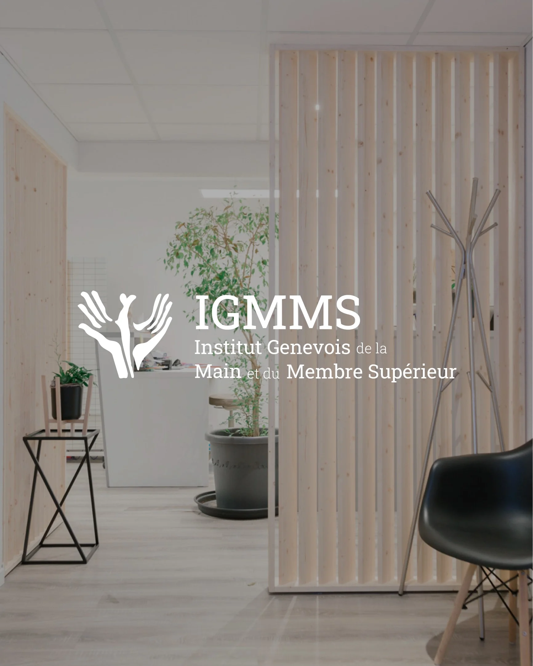 Projet IGMMS — Création par hyléa