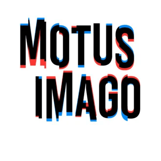 Shapes, Puppets and Things in Motion