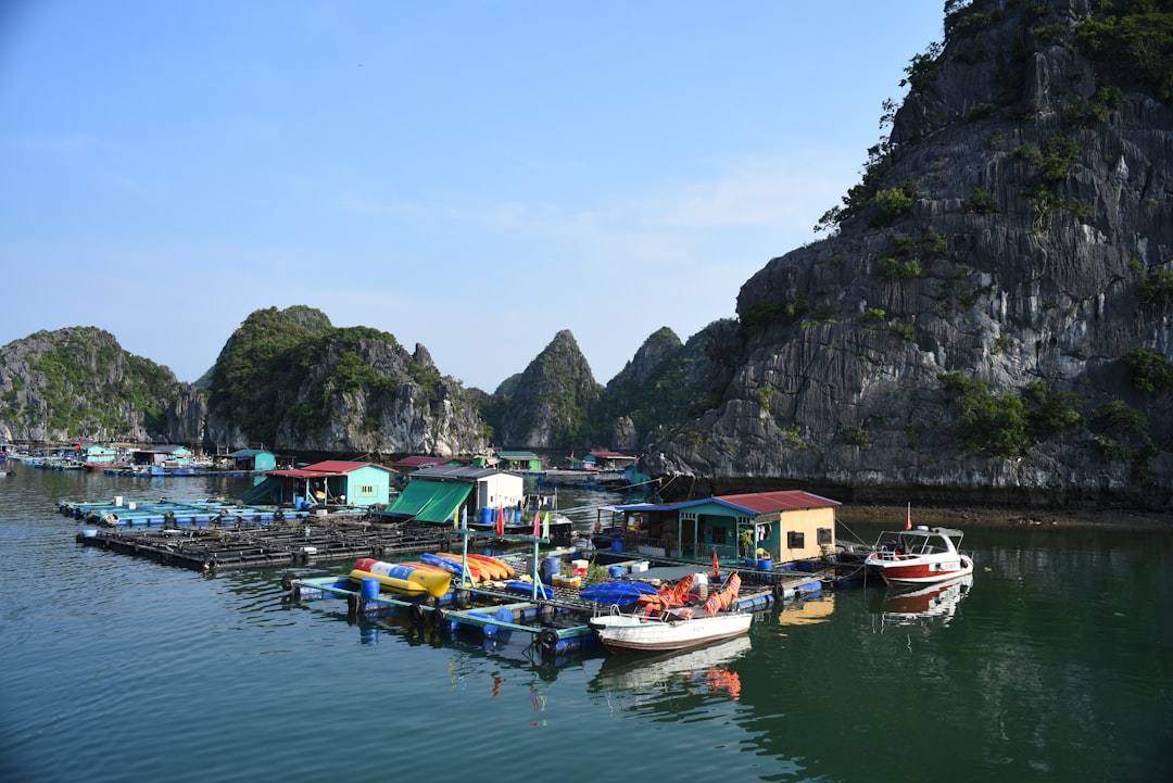 Ha Long Bay Panorama