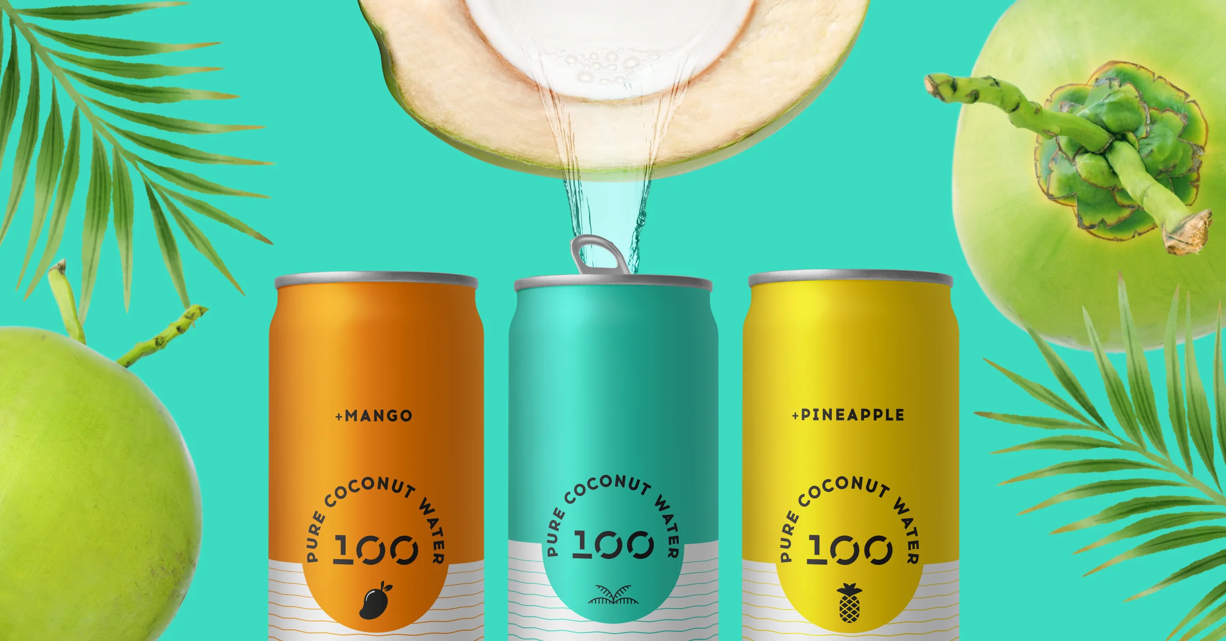100 Coconuts